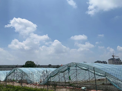 恩拓博高速增氧機上海使用案例！