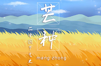 在芒種這個節(jié)氣里我們要充實自己，迎接未來的挑戰(zhàn)